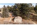 Aerial view showcasing the house, detached garage, and surrounding trees at 1042 Buttercup Rd, Elizabeth, CO 80107