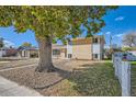 Ranch style home with mature tree and fenced yard at 3055 Carson St, Aurora, CO 80011