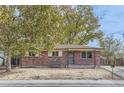 Brick ranch house with a large tree and driveway at 5548 Tucson St, Denver, CO 80239