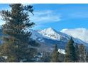 Stunning snow-capped mountain views from this property at 72 Dyer Trl, Breckenridge, CO 80424