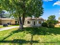 Cute ranch home with a spacious front yard and mature tree at 1941 S Dexter St, Denver, CO 80222