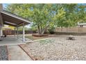 Backyard with firepit, patio, and mature shade tree at 8467 W 62 Pl, Arvada, CO 80004