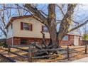 Brick ranch home with mature tree and wooden fence at 11940 Sylvia Dr, Northglenn, CO 80233