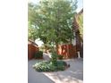 Shared pathway with mature trees and landscaping at 2815 S Locust St # F, Denver, CO 80222