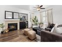 Living room featuring a fireplace and plenty of natural light at 2898 Night Song Way, Castle Rock, CO 80109