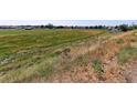 Large vacant land with distant homes and open fields at 3225 E 124Th Ave, Thornton, CO 80241