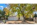 Charming ranch home with mature tree and large yard at 1543 Feltham Pl, Longmont, CO 80501