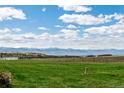 Spacious backyard with mountain views and green grass at 9983 Heather Dr, Castle Rock, CO 80108