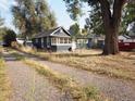 Dark blue bungalow with a gravel driveway and mature trees in the yard at 230 Emery St, Longmont, CO 80501