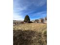 Large backyard with a grassy area at 24456 E Louisiana Cir, Aurora, CO 80018