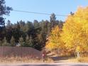 View 11555 S Us Highway 285 Frontage Rd Conifer CO