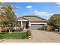 House exterior featuring gray siding, landscaping, and a two-car garage at 5692 S Flat Rock Way, Aurora, CO 80016