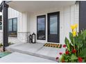 Inviting front entry with a modern door and stylish decor at 5300 Soledad Cir, Parker, CO 80134