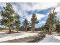 Contemporary home nestled amongst pine trees, featuring a gray exterior and long driveway at 1298 Silverheels Dr, Larkspur, CO 80118