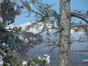 View 10149 Hutch Ln Conifer CO