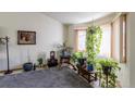 Bright living room with bay window, lots of plants, and a cozy sitting area at 2617 E Egbert St, Brighton, CO 80601