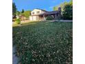 Ranch-style home with a large front yard and driveway at 3006 S Fenton St, Denver, CO 80227
