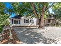 House exterior showcasing landscaping and a large tree at 1160 S Monroe St, Denver, CO 80210