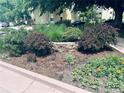 Neat landscaping with manicured bushes and flowers at 600 S Clinton, Denver, CO 80247