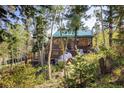 Wooden cabin nestled in trees, surrounded by lush greenery at 80 Outlook Dr, Golden, CO 80403