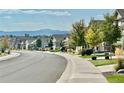 Attractive neighborhood with mountain views and well-maintained homes at 4278 Broken Hill Dr, Castle Rock, CO 80109