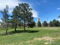 Large backyard with mature trees and open space at 5671 County Road 19, Fort Lupton, CO 80621