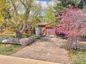 Front view of a ranch style home with a brown garage door and pink flowering tree at 913 Utica Ave, Boulder, CO 80304