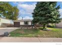 Ranch style home with a spacious front yard, landscaping, and driveway at 3726 E 112Th Pl, Thornton, CO 80233