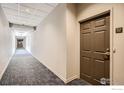 A long hallway with carpeted floors and neutral-colored walls at 1200 Cherokee St # 206, Denver, CO 80204