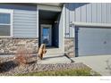 Inviting front entry with stone accents, a charming statue, and a gray door at 14817 Longhorn Dr, Mead, CO 80542