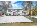 House exterior showcasing a snow-covered yard and pink front door at 31 Merideth Ln, Longmont, CO 80501