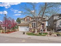 View 10730 Middlebury Way Highlands Ranch CO