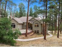House exterior with stone walkway and landscaping at 4381 Cheyenne Dr, Larkspur, CO 80118