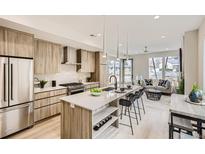 Modern kitchen with stainless steel appliances and ample counter space at 2313 S High St, Denver, CO 80210
