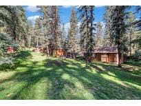 Secluded home nestled among tall trees on a grassy lot at 28192 Shadow Mountain Dr, Conifer, CO 80433