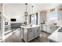 Open concept kitchen boasts an island, stainless steel appliances, and gray cabinetry at 8306 E 132Nd Dr, Thornton, CO 80602