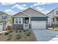 Two-story house with gray and blue siding, a white garage door, and landscaping at 1805 Water Birch Way, Castle Rock, CO 80108