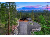 Mountain home with driveway and landscaping at 133 Adams Way, Breckenridge, CO 80424