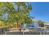 Charming ranch home with mature tree and landscaped yard at 7321 Carnation Pl, Commerce City, CO 80022
