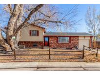 Brick ranch home with attached garage and mature tree in front yard at 11940 Sylvia Dr, Northglenn, CO 80233