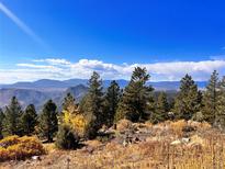 Scenic mountain view with clear blue sky at 13640 Old Paint Trl, Conifer, CO 80433