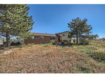 Brick ranch home with a red door and large yard at 2452 Shetland Trl, Elizabeth, CO 80107