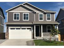 Two-story house with a white garage door and gray siding at 14084 Black Sedge Cir, Parker, CO 80134