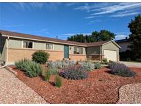 Ranch-style home with landscaped yard and mature trees at 6526 S Cherry Way, Centennial, CO 80121