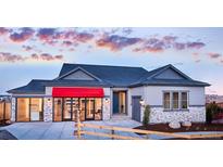 Gray exterior home with red awning and landscaping at 16975 Black Rose Cir, Parker, CO 80134