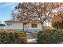 Ranch style home with a spacious yard and mature trees at 6930 Birch St, Commerce City, CO 80022