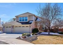 View 9071 Sunset Ridge Ct Highlands Ranch CO