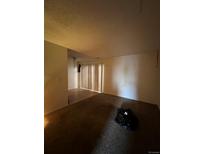 Large living room with carpeted floors and access to other rooms at 10772 E Exposition Ave # 141, Aurora, CO 80012