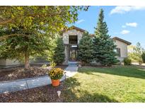 Two story house exterior with landscaping and walkway at 6297 Ellingwood Point Way, Castle Rock, CO 80108