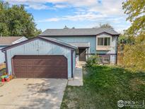 Front view of a single-Gathering home with a brown garage door and lawn at 1900 Logan St, Longmont, CO 80501